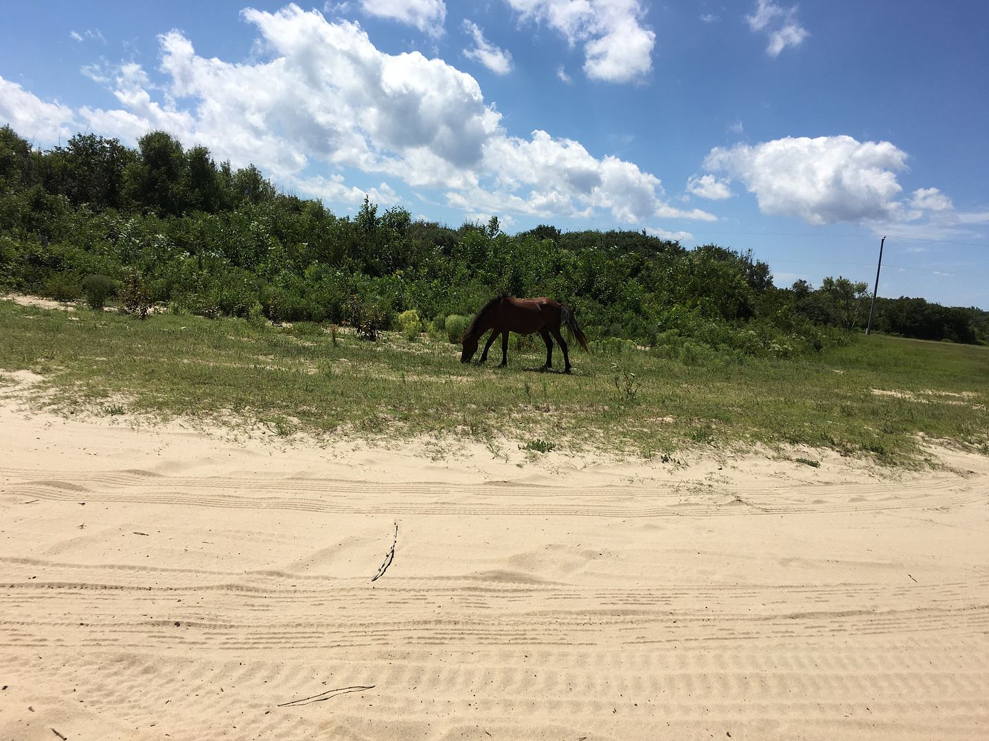 Ocracoke Island Page 2 Jeep Wrangler Forum